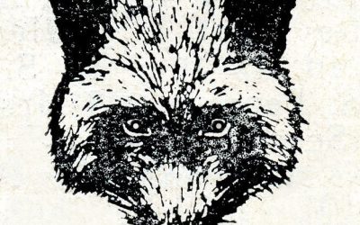 From Umbrellas to Badminton Rackets.