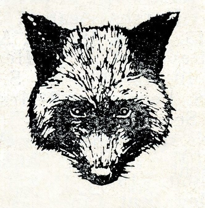 From Umbrellas to Badminton Rackets.