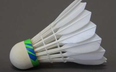 Shuttles Used in the Yonex All-England Badminton Championships